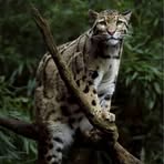 Profile Picture of John's Ügur (@Johns-Ügur) on Facebook