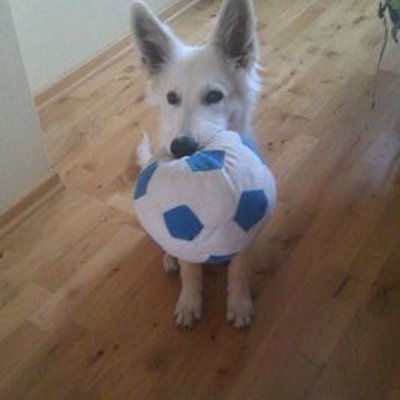 Profile Picture of Leonard Franz (@0512Franz) on Twitter