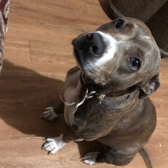 Manuel Cortinez - Poshmark Profile Picture of Manuel Cortinez (@mannytx3) on Poshmark