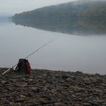 Profile Picture of Steven Mullins (@crazy_melungeon) on Instagram