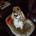 Profile Picture of Brian Humphrey (@brian.humphrey.9421) on Facebook