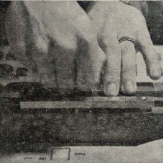 Profile Picture of Tortoise (@trts) on Instagram