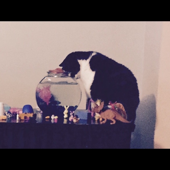 Profile Picture of Heidi Bayerlein (@hbayerlein) on Poshmark