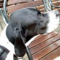 Profile Picture of Christian Nagele (@christian-nagele-1) on Quora