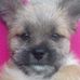 Profile Picture of Bailey Alvarez (@bailey.alvarez.334) on Facebook