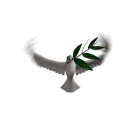 Profile Picture of Julia Kohn Kohn (@JuliaKohnKohn1) on Twitter