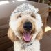 Profile Picture of Ginger Stephens (@Ginger-Stephens) on Facebook