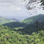 Profile Picture of Wyatt Fitzgerald (@wyatt_wyatt98) on Instagram