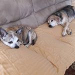 Profile Picture of Lisa Montello LaMaina (@lamainalisa) on Instagram