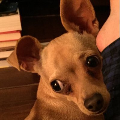 Profile Picture of John Clutterbuck (@JohnClutterbuck) on Twitter