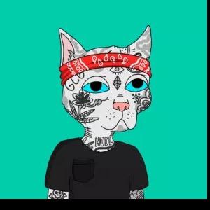 Profile Picture of Drewsutherland91 (@drewsutherland91) on Tiktok