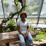 Profile Picture of Jo Ann Tibbs (@joanntibbs) on Instagram