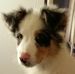 Profile Picture of David Neveu (@david.neveu.54) on Facebook