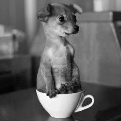 Profile Picture of Luis Armstrong (@luis_smyles) on Twitter