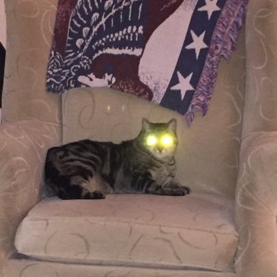 Profile Picture of Michael Danforth (@wolfhound427) on Twitter