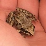 Profile Picture of Michael Ranndoiyu (@triggerhappy_onlyin_ak) on Instagram