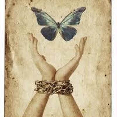 Profile Picture of Stephanie Dunlap (@Steph_Dunlap) on Twitter