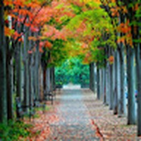 Profile Picture of Sej2-0620 Elwin Jude A/l Vincent Paul (@sej2-0620-elwin-jude-a-l-vincent-paul) on Quora