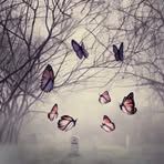 Profile Picture of Micah Rollins (@micah.rollins.52) on Facebook