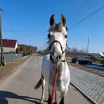 Profile Picture of Julia Biber (@Julia-Biber) on Facebook