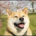 Profile Picture of Alexander Apple (@alexander.apple.9083) on Facebook