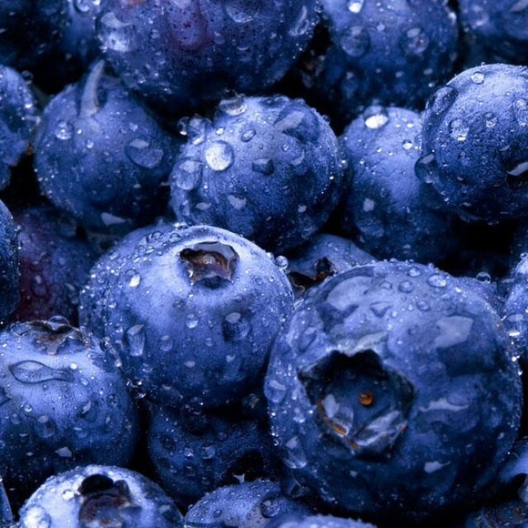 Profile Picture of Bettina Wirz (@sarajune123) on Poshmark