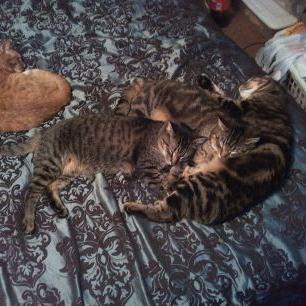 Sean Rife - Twitter Profile Picture of Sean Rife (@Rife81S) on Twitter