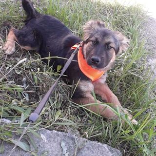 Profile Picture of Steven Langner (@steven.langner.94) on Facebook