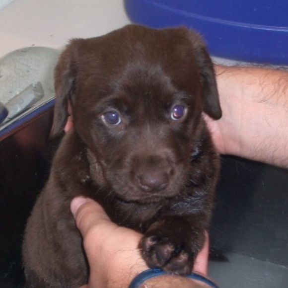 Profile Picture of Claire Pancerz (@cpansy) on Poshmark