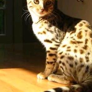 Profile Picture of MartinuCheneyy3K_XH (@martinucheneyy3k_xh) on Tiktok