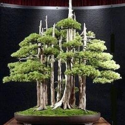 Profile Picture of Peter Chevalier (@PeterChevalier1) on Twitter