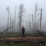 Profile Picture of Trent Petersen (@trent.petersen.1) on Instagram