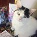 Profile Picture of Rose Allsop (@Rose-Allsop) on Facebook
