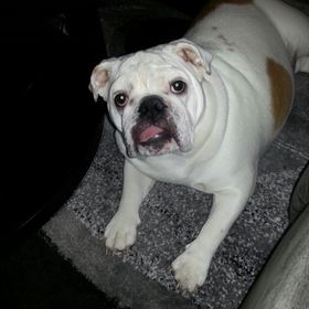 Profile Picture of patrick carney (@wolfman7429) on Pinterest