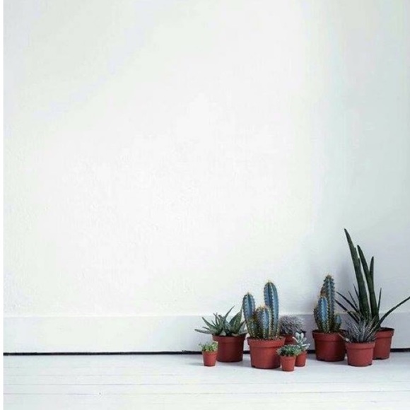 Profile Picture of Ashlyn Hallinger (@ashlyn_grace_) on Poshmark