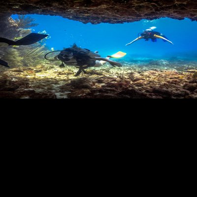 Profile Picture of Juan Melendez (@MelendezJam) on Twitter