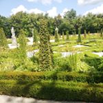 Profile Picture of Marcin Wyrzykowski (@marcin.wyrzykowski.315) on Instagram