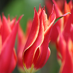 Joverbeck - Flickr Profile Picture of Joverbeck (@joverbeck) on Flickr