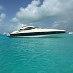 Profile Picture of Alex Davison (@alextife) on Instagram