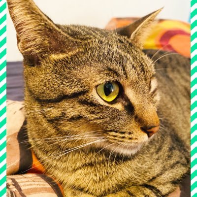 Profile Picture of Maxime Cadet (@Maximecadet3) on Twitter