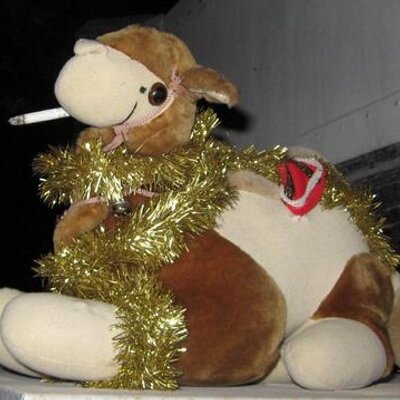 Profile Picture of Andy Hazlewood (@Cattuss) on Twitter