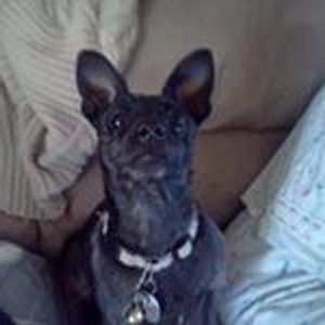 Profile Picture of Randy Schattel (@randy.schattel) on Myspace