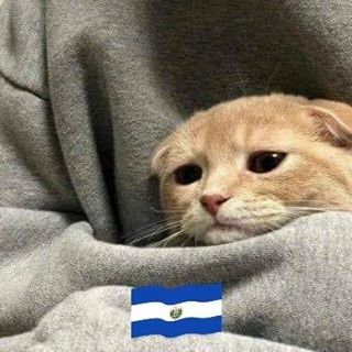 Profile Picture of Caesar White (@cesar.blanco.1466126) on Facebook