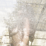 Profile Picture of Alvaro Buenaventura (@Davii Rangda) on Flickr