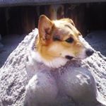 Shelly - Instagram Profile Picture of Shelly (@carolinagirl85) on Instagram