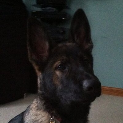 Profile Picture of Brian Tessmer (@Tessmerbrian) on Twitter