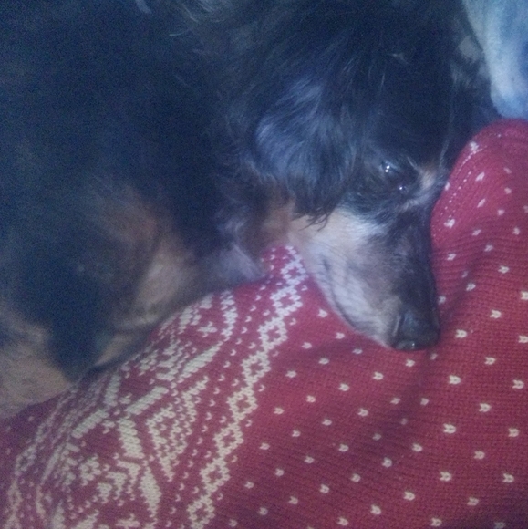 Profile Picture of Cari s Tipsword (@caristipsword) on Poshmark