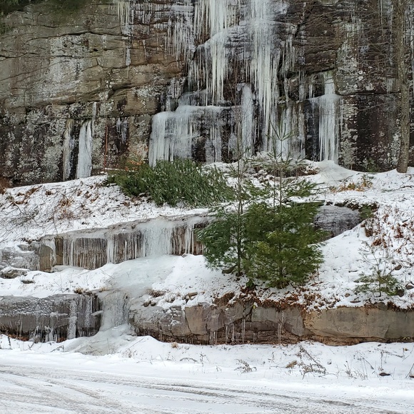 Profile Picture of Andreanna Taylor (@andiimarie2595) on Poshmark