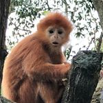 Profile Picture of Jared Crowley (@jared.crowley5) on Instagram