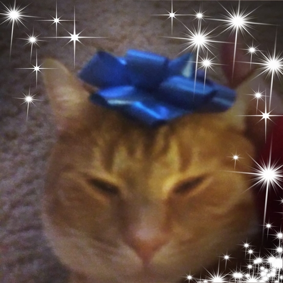 Profile Picture of Judy Hilby (@hilby1122) on Poshmark